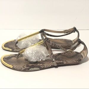 Dolce Vita Snakeskin T-strap and Gold Trim Sandals size 6